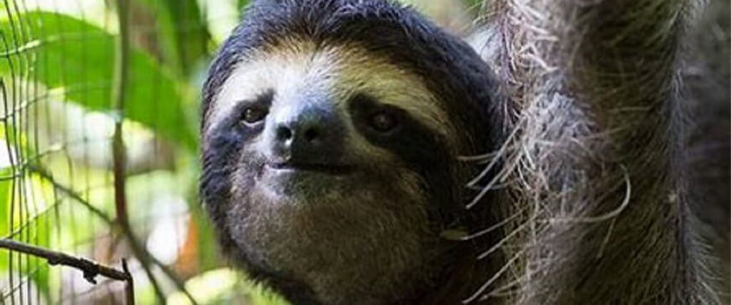 The Green Planet Dubai Offers: From AED69 | QiDZ | Kids Activities in Dubai