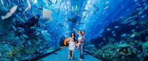 25 Indoor Kids Activities in Dubai to Enjoy this Summer | QiDZ | Kids Activities in Dubai